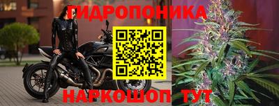 ECSTASY Славянск-на-Кубани