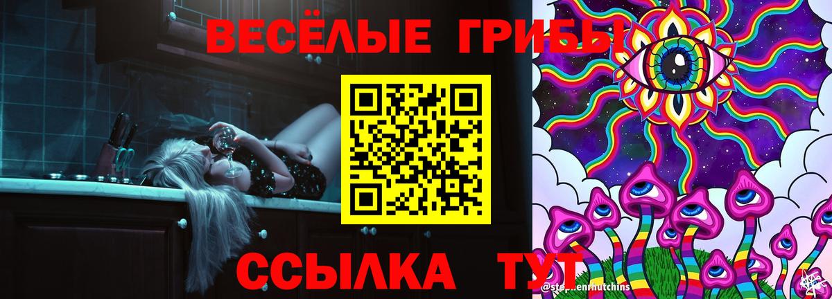 Псилоцибиновые грибы мицелий Новодвинск